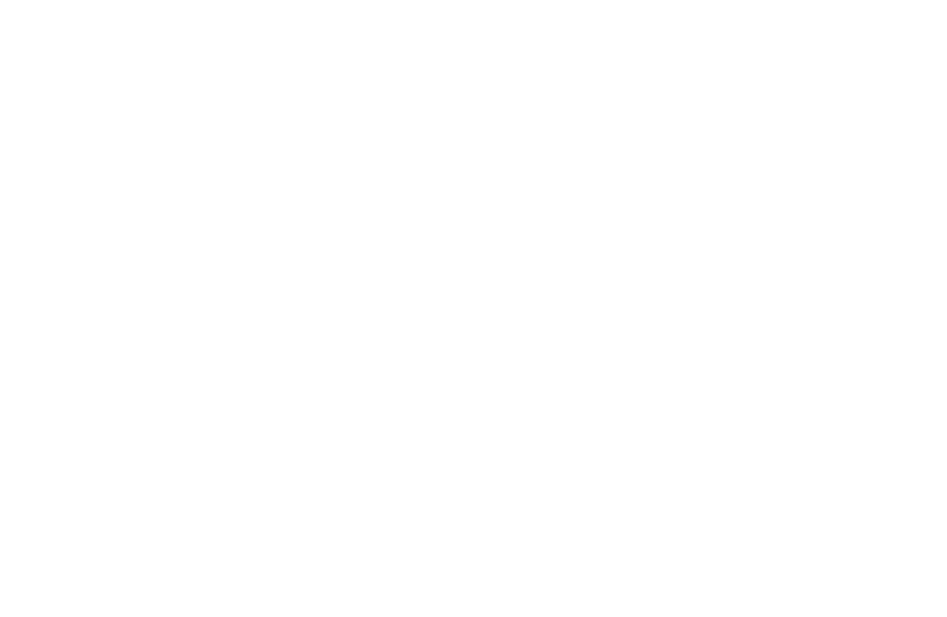 lebsctica-footer-logo